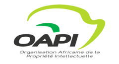 African Intellectual Property Organization logo